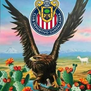 Meet your Posher, Camarillo